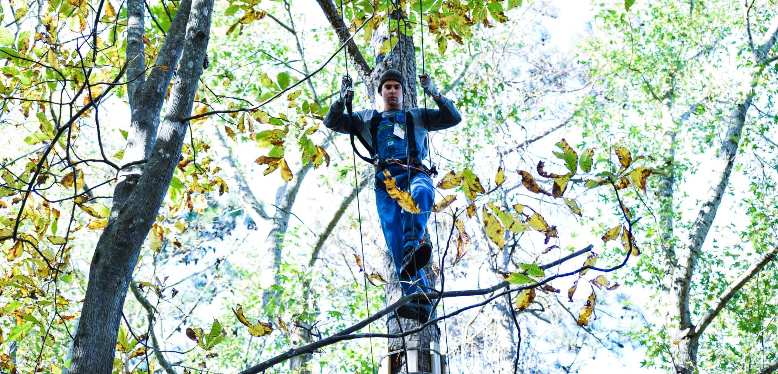 Adult on challenge course