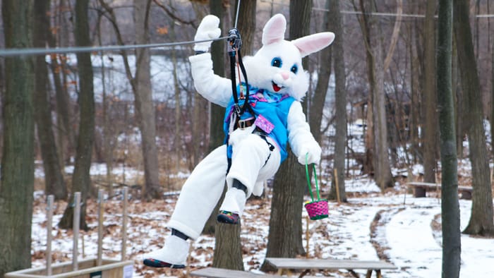 Easter bunny at the adventure park