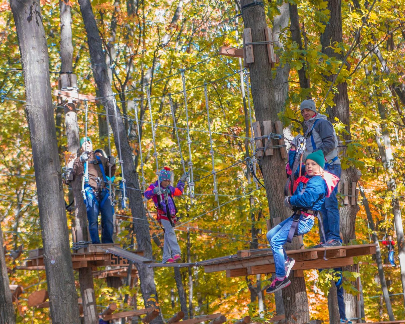 Groups & Parties At The Adventure Park At The Discovery Museum - The 