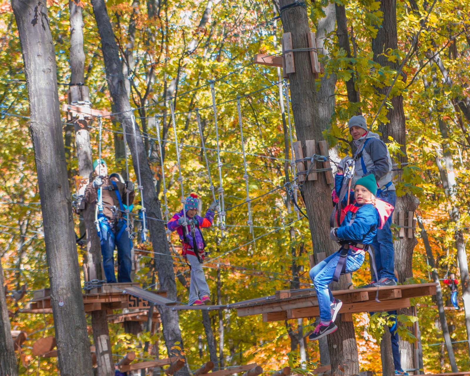 Group on the ropes course in autumn
