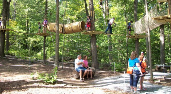 group at aerial adventure park
