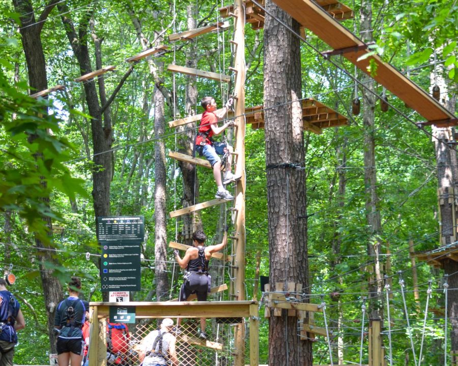 Group climbing wooden ladder at aerial forest