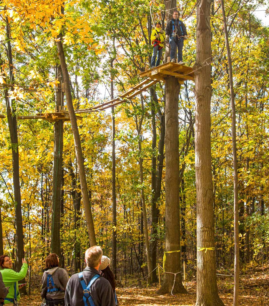 Group on the ropes course in autumn