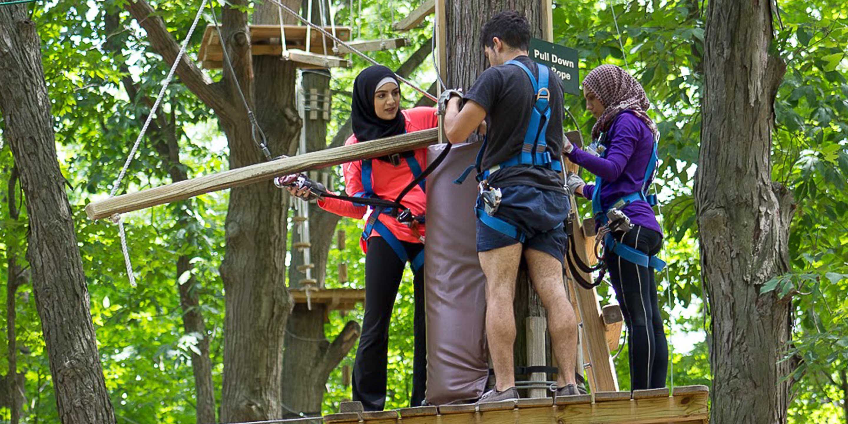 Diverse group of adults on ropes course
