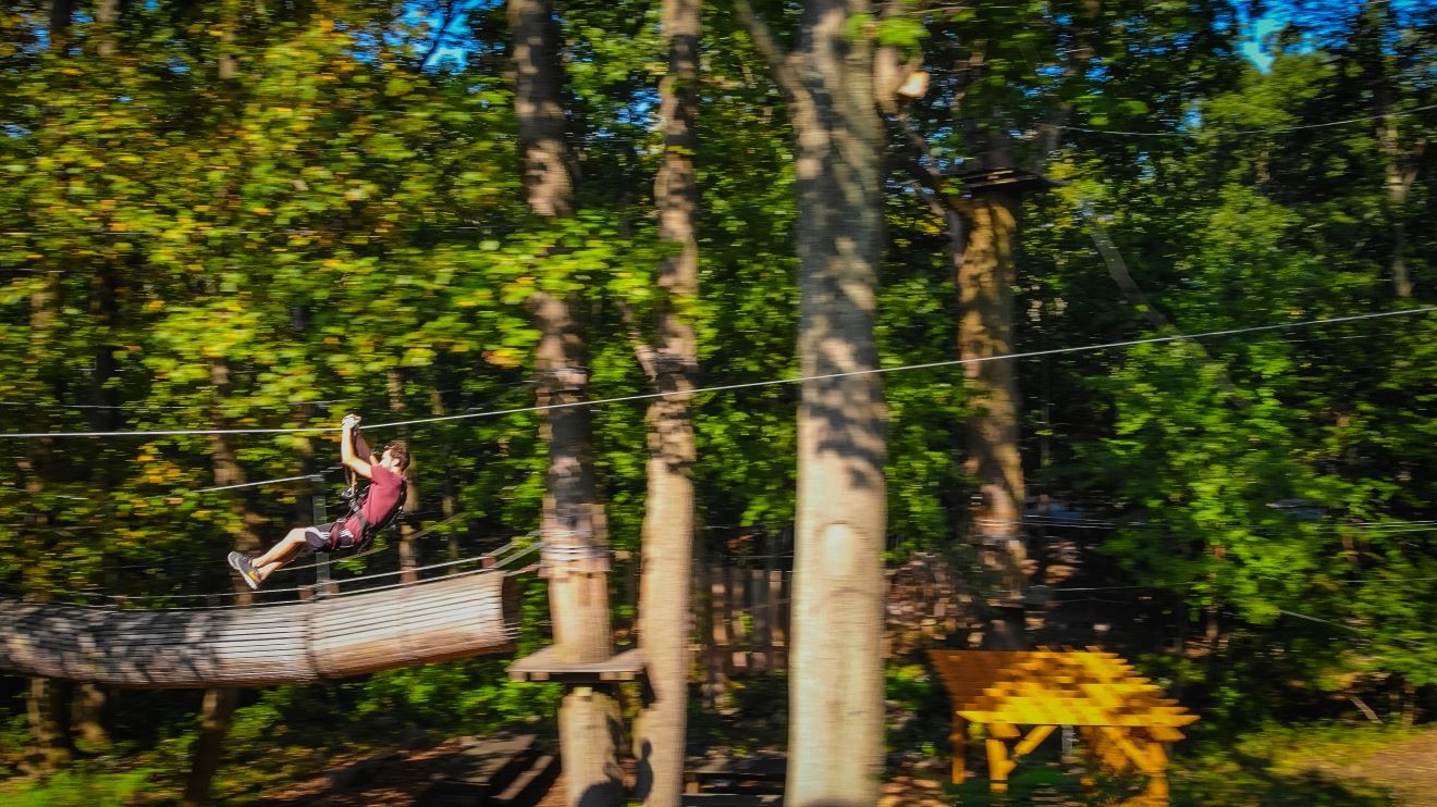 Aerial Adventure Park & Ziplining - The Adventure Park